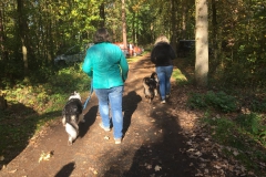 IMG_4560