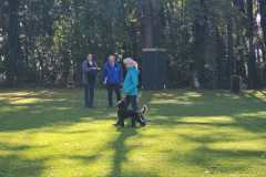 2f2087d1-805f-498b-afc2-7c4b3d067146