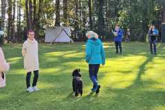 5ca901bb-c7c4-4d3b-b11e-8781aa75ffd7