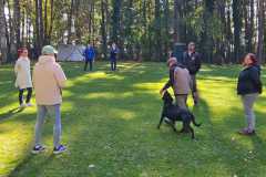 667e4f2f-94f8-489f-b24b-f964762914f4