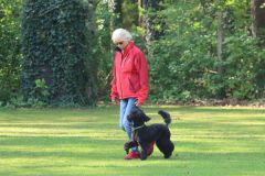 image00018