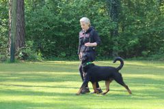 image00022