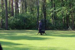 image00026