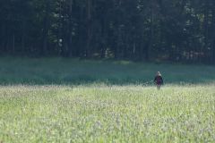 image00029
