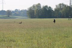 image00032