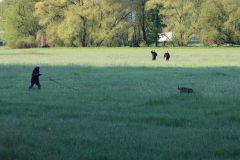 image00034